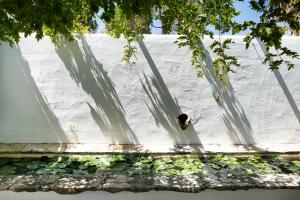 Altanure Quinta Sol dÁgua - Ecological Holiday Villa