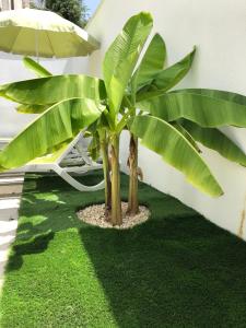 Diklo beach rooms-Adults Only