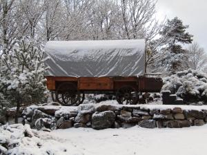 Maisons d'hotes La Bergerie du Plateau : Calèche Western