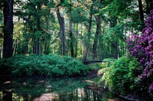 N39 - Apartament z JACUZZI i Kominkiem przy Lesie - Moszna