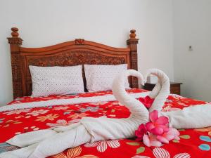 Klotok Home Stay Nusa