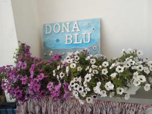 DonaBlu