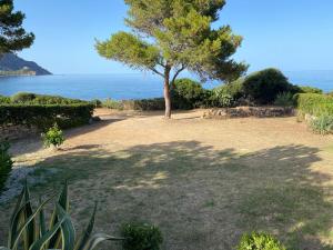Villa Damiano img24