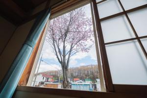 旭川美瑛 Sakura 西神楽