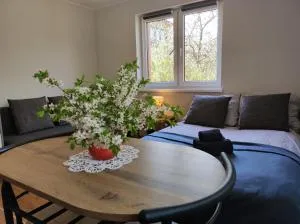 Domek u Litwinów - Kawęczynek