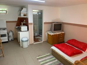 Tina Apartman