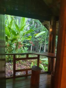 Khao Sok Silver Cliff Resort