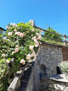 Affittacamere La Lea