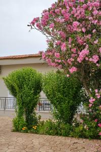 Villa Agathi