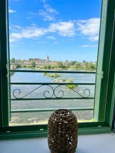 LA VUE LOIRE Appartement - Jargeau