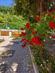 Biały Dom Kazimierski