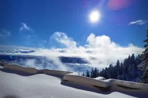 LivGood Appartements Gerlitzen - Treffen