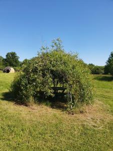 Maisons d'hotes Ecocentre de Bourgogne - Thales : photos des chambres