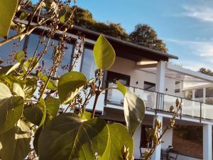 Ferienhaus Rheinblick