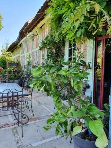 B&B / Chambres d'hotes L'Escapade : photos des chambres