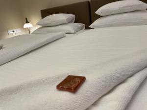 Dózsa Apartman Szeged