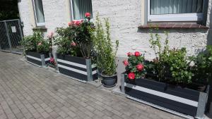 Ferienwohnung Rosenstadt