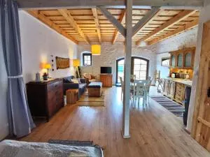 Jagodowy Sad - domek z dwoma ogródkami - 维德米内