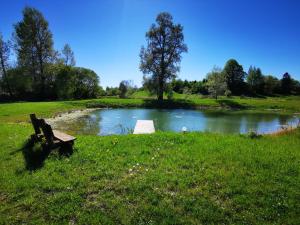 Jagodowy Sad - apartament z dwoma ogródkami