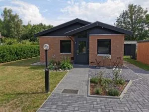 THE IVY - Wahrenholz