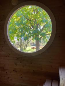 Maisons de vacances Gite Au sauna de l’Aubach : photos des chambres