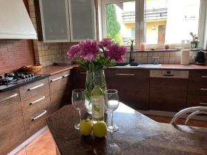 Willa Morska Przystań w Pierwoszynie