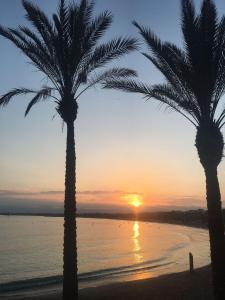 For a Stay Altair Mar