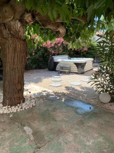 Appartements Les dahlias appartement 4 personnes Jacuzzi Barbecue Jardin arbore Climatise : photos des chambres