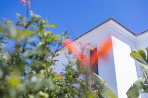 No.7 Athena Beach Villa, Pernera