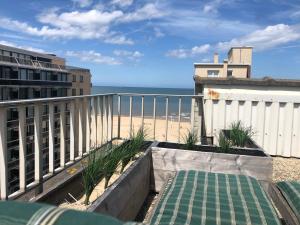 Sea-Senses comBlue Moon