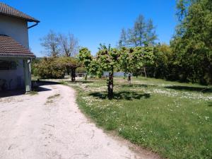 Appartements Au petit gravelot : photos des chambres