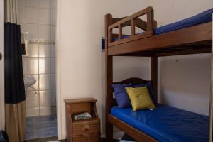 FAMILY- Conheça Cabo Frio e ARRAIAL e traga seu pet - Confira