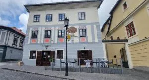 Hotel Salamander - Garni - 斯提亚夫尼茲科巴內