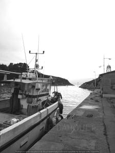 Appartements Joli studio avec terrasse a deux pas de la plage : Appartement 1 Chambre