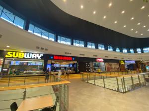 Studio for 4 Guests Next to Mall & Free Street Parking