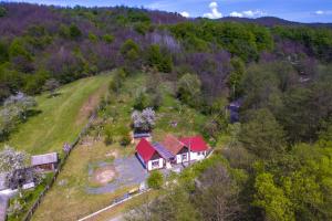 Pensiunea Anda - Savarsin