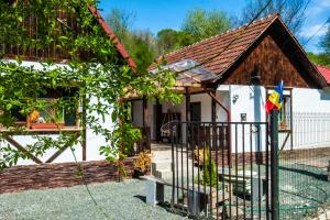 Pensiunea Anda - Savarsin