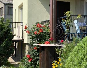 Topoliu 16 guesthouse