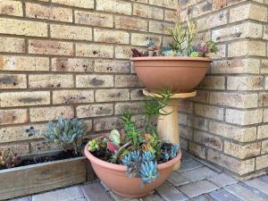 The Lookout Deck - near Secrets Beach
