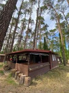 Domek Wakacyjny Maciuś 48 - Kursko