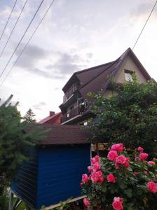 Majkowiczówka