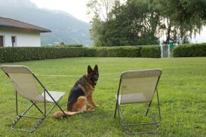 Casa al Lago di TSS - Ampio Giardino Fronte al Lago - Perfetto per Famiglie e Gruppi a Calceranica al Lago