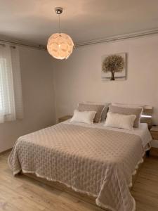 Comfy apartment in a quiet neighborhood