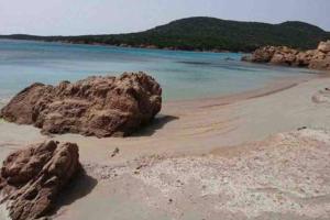 Maisons de vacances Caseddu pieds dans l'eau : Maison 1 Chambre