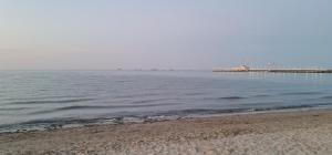 Klimatyczny apartament w Oliwie