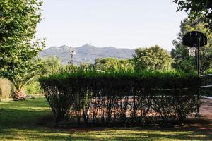 Sintra Farm Villa Guest House