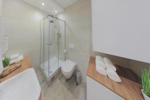 Arena BIG Luxury Apartments with free parking