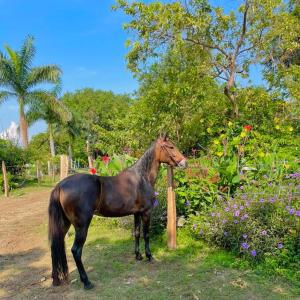 Hacienda Villa Liria