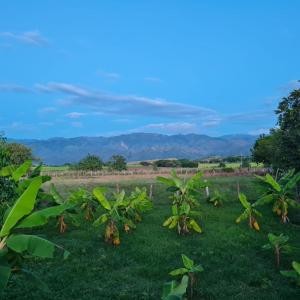 Hacienda Villa Liria