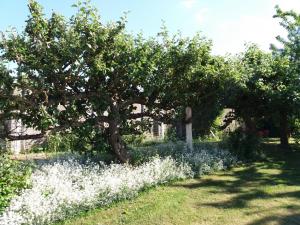 Maisons de vacances Gite Croisilles, 5 pieces, 7 personnes - FR-1-376-63 : photos des chambres